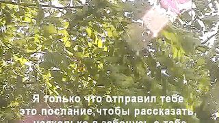 Давай поговорим