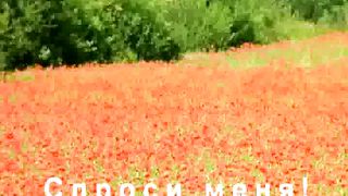 Давай поговорим