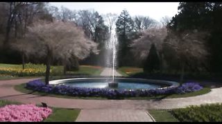 1 Весна в Филадельфии