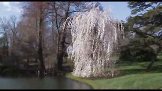 1 Весна в Филадельфии