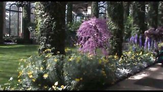 1 Весна в Филадельфии