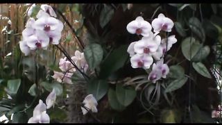 2 Весна в Филадельфии