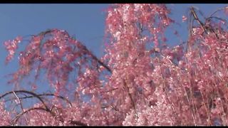 2 Весна в Филадельфии