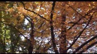 1 Осень Филадельфия