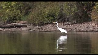 2 Лето Филадельфия