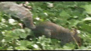 2 Лето Филадельфия