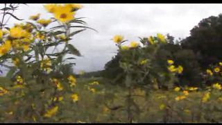 3 Лето Филадельфия