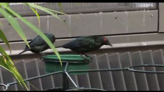 3 Лето Филадельфия