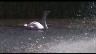 3 Лето Филадельфия