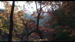 2 Oсень в Филадельфии