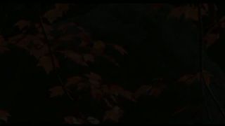 2 Oсень в Филадельфии