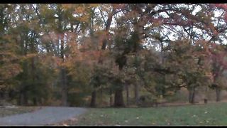 2 Oсень в Филадельфии