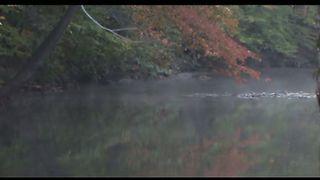 2 Oсень в Филадельфии