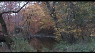 3 Oсень в Филадельфии