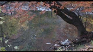 3 Oсень в Филадельфии