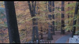 3 Oсень в Филадельфии