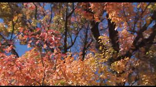 4 Осень Филадельфия