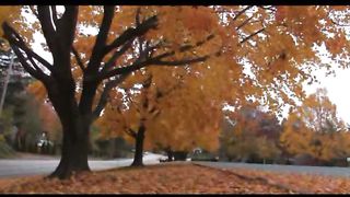 4 Осень Филадельфия