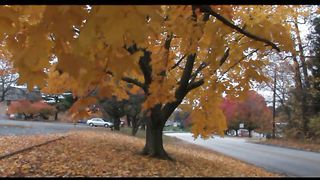 4 Осень Филадельфия