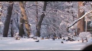 6 - Зима Филадельфия