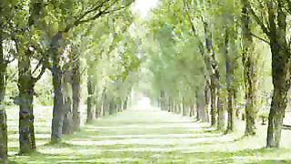 Адония - Под защитой Божьих крыл