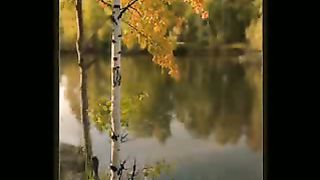 Адония - Под защитой Божьих крыл