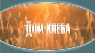 Александр Шевченко - Твое или не твое дело