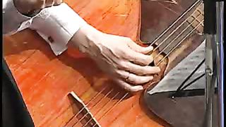 Адония - Весна Вивальди