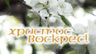 Вадим Ятковский - Христос Воскрес