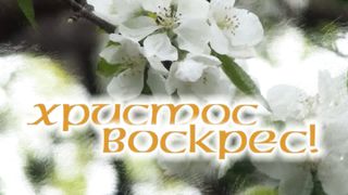 Вадим Ятковский - Христос Воскрес