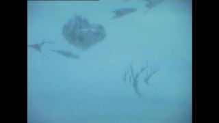 Ветхий Завет Библейские истории - Сотворение мира и всемирный потоп