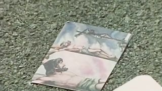 Два разбойника