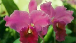 Любовь Бога к человеку