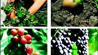 Возрастание во Христе