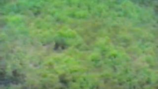 Планета Земля Сокровищница жизни