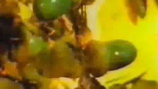 Планета Земля Сокровищница жизни