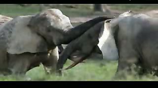 Сотворение Мира