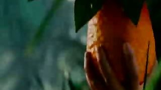 Павел Шавловский - Иона