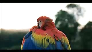 Откровение