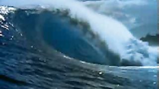 Любовь Творца