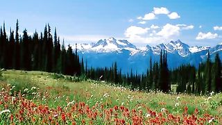 Благодарю Тебя Создатель мой Стих