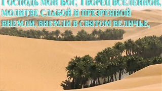 Павел Шавловский - Десять Прокаженых