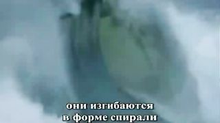 Спираль Фибоначчи