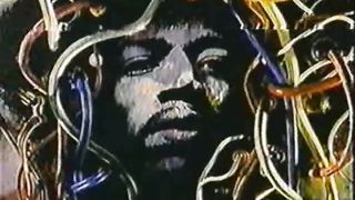 Звук и ярость