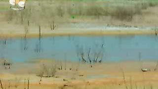 Библейские тайны. Пётр - камень