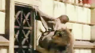 История Божьего народа