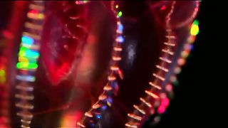 BBC - Голубая планета 2