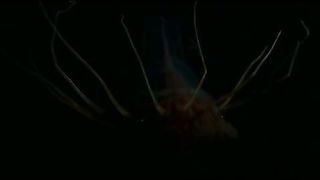 BBC - Голубая планета 2