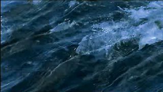 BBC - Голубая планета 4