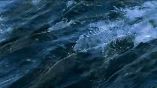 BBC - Голубая планета 5